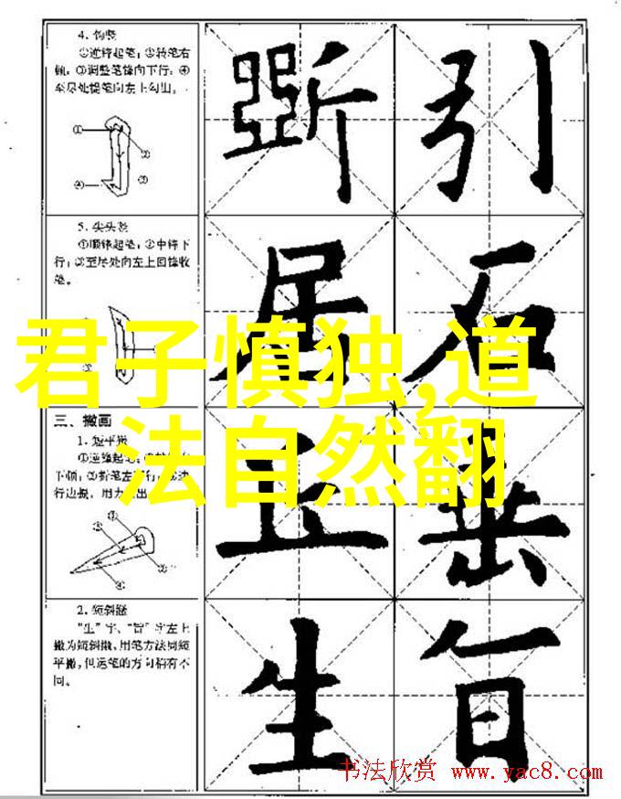 将军狂撞公主疯狂的爱情与权力的交错