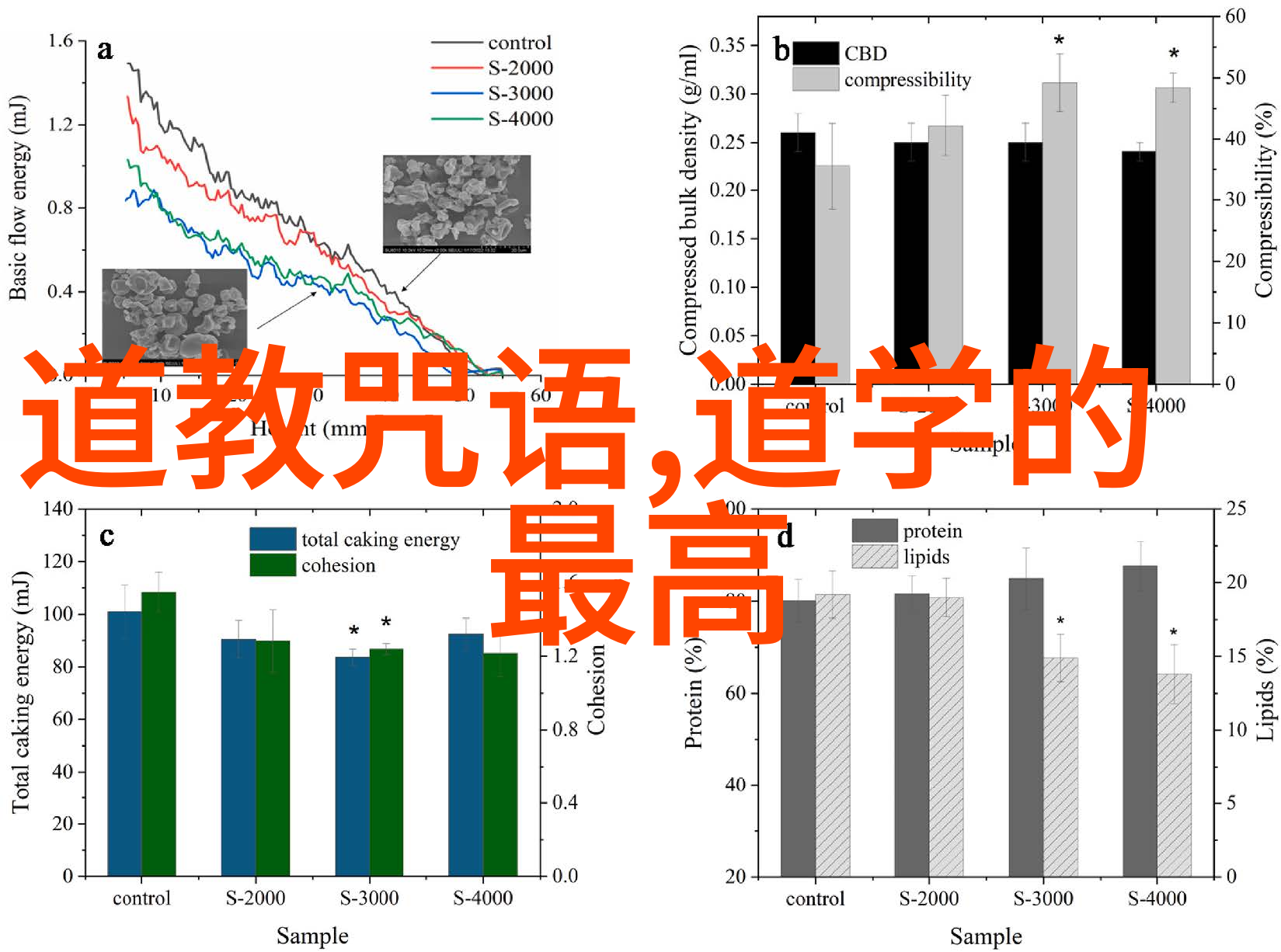 野性人生追逐梦想的不羁之旅