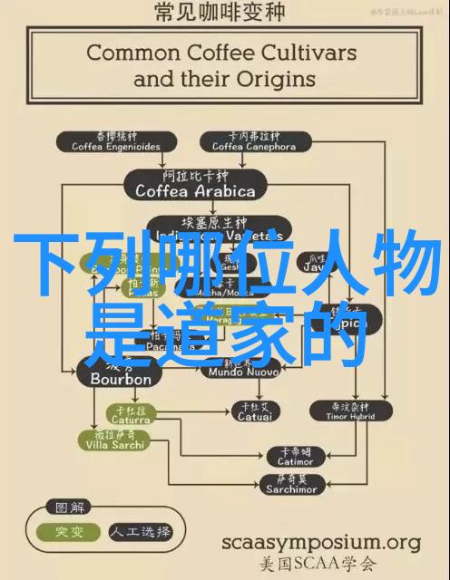 探索BB形态的多样性选择理想主题的指南