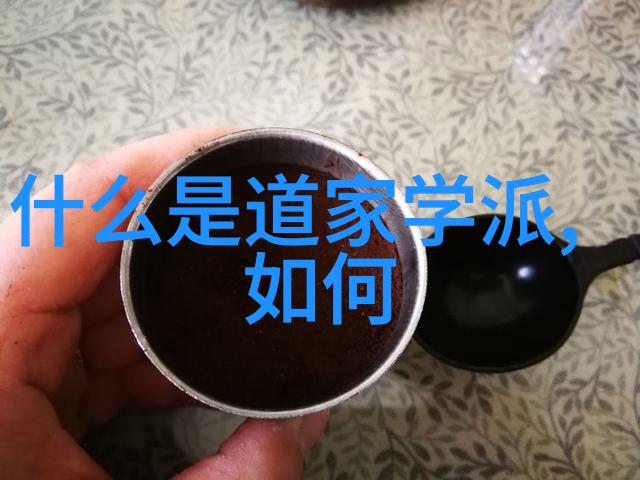 道家智慧的传承者们深入了解其思想主张