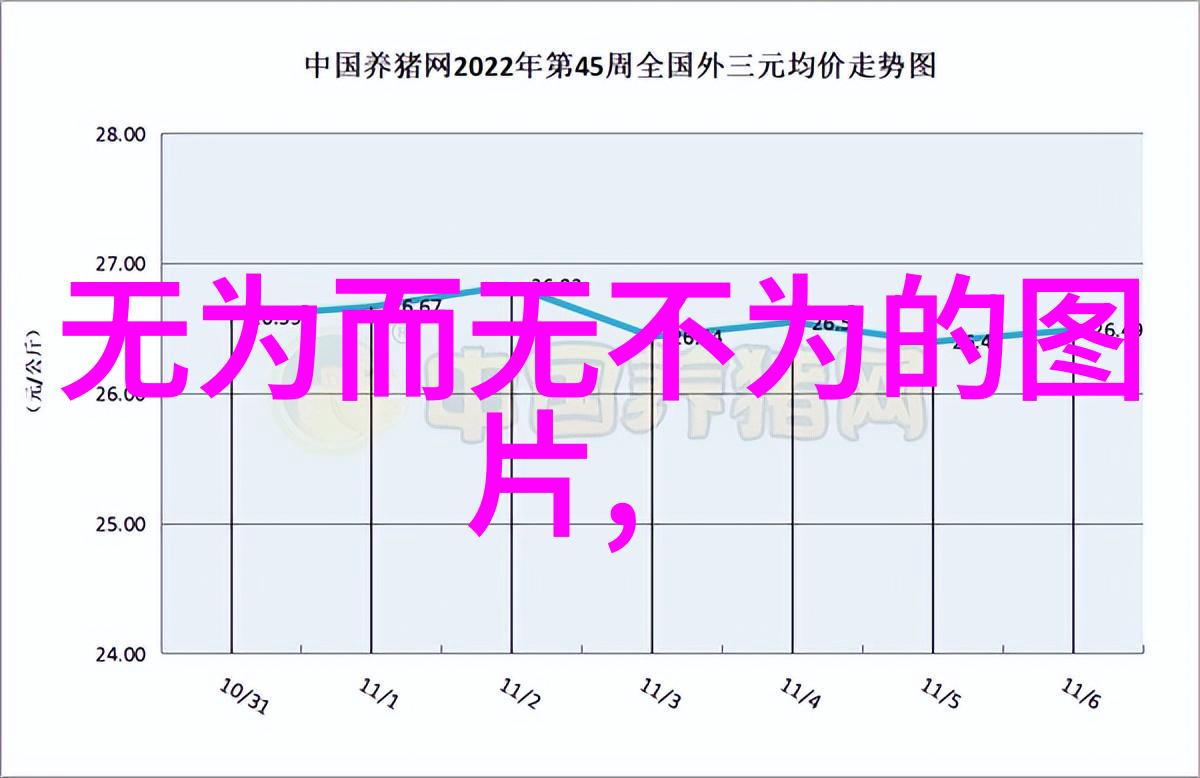 无为故无败探索淡定之道顺应自然的智慧