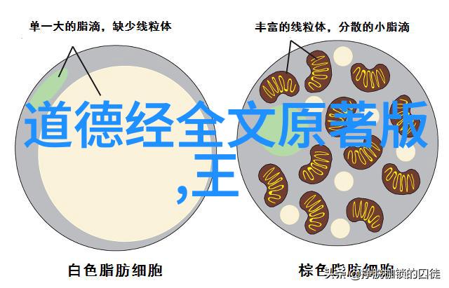 道教超度沐浴荡除亡魂旧染黄华荡形天尊揭示道家与儒家的根本区别之谜引领天然道观探索传统文化的深邃之美