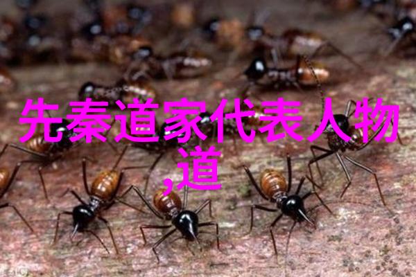 从虚空到万物庄子的宇宙观与无为之道