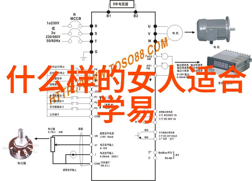 道教人物经典老子与其思想的传承