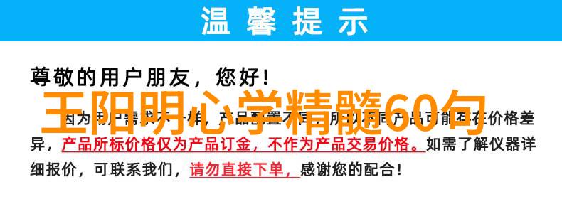 探秘华人城的历史与未来从繁华到复兴的城市故事