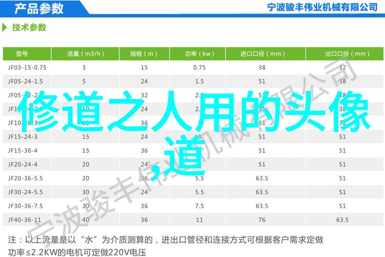 道教神秘人物探秘穿梭于仙境的智者与勇士