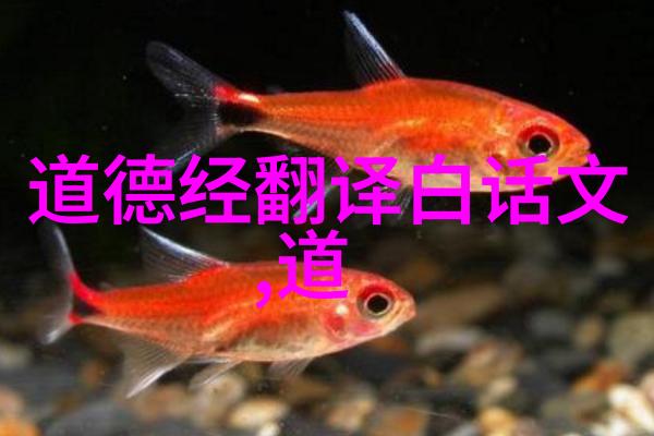 百字碑与注释道教文化中的天然道观如何在社会大潮中做到大道至简