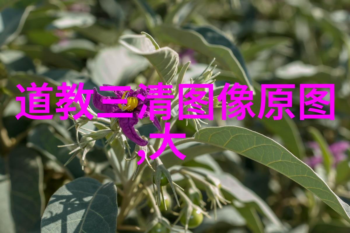 探索女性化缘文化背后的深层含义与社会影响