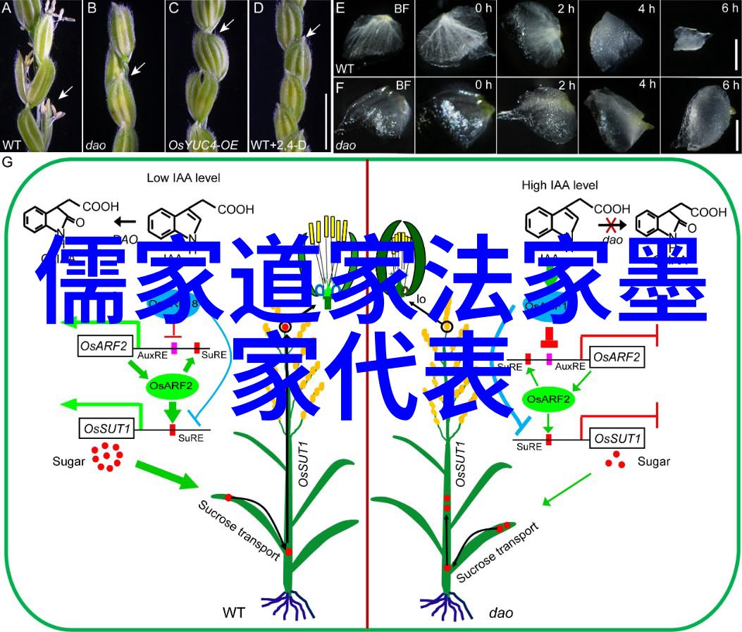 如何理解这三个伟人对于个人修养的不同看法