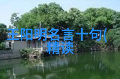 欲望之海刚毅之岸如何在无尽的诱惑中坚守内心的北极星