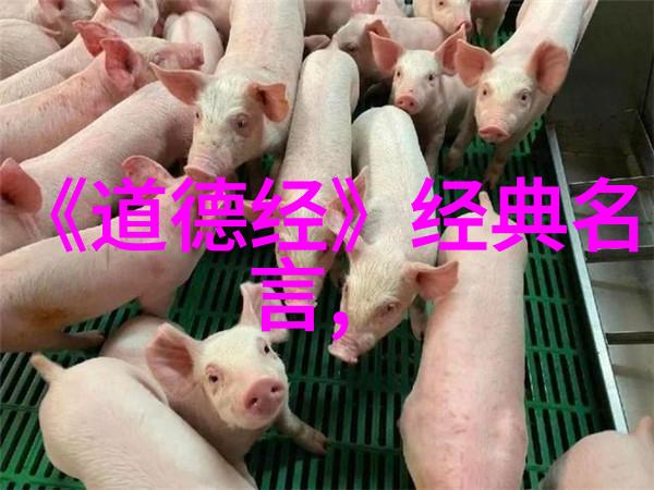 慈悲之巅心海深处的无限宽恕