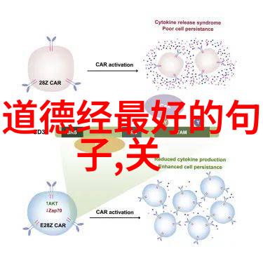 探寻隐者之心先天下之忧而忧的道教智慧