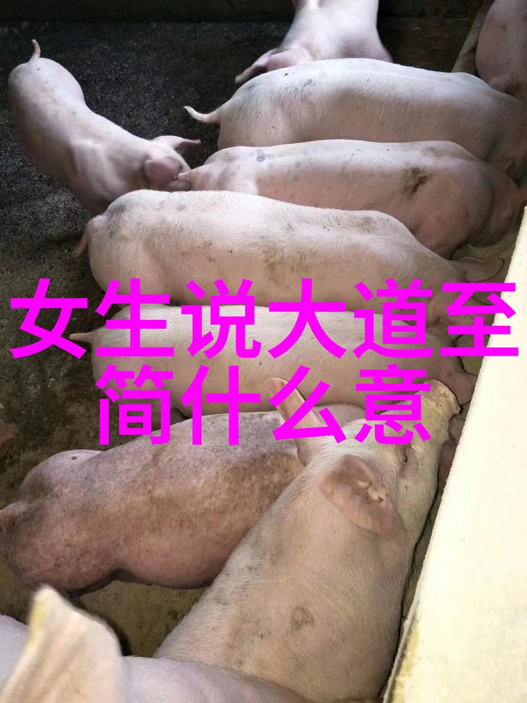 道法自然探索老子思想的生态哲学