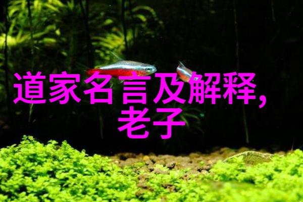 道家道德经图集龙凤山道院深藏的智慧