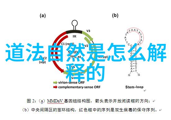 道教的起源和创始人-天界降书探索道教神秘之源与老子智慧