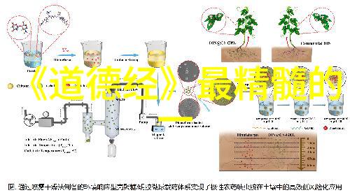 道家哲学与佛家哲学在创建时期有何不同之处