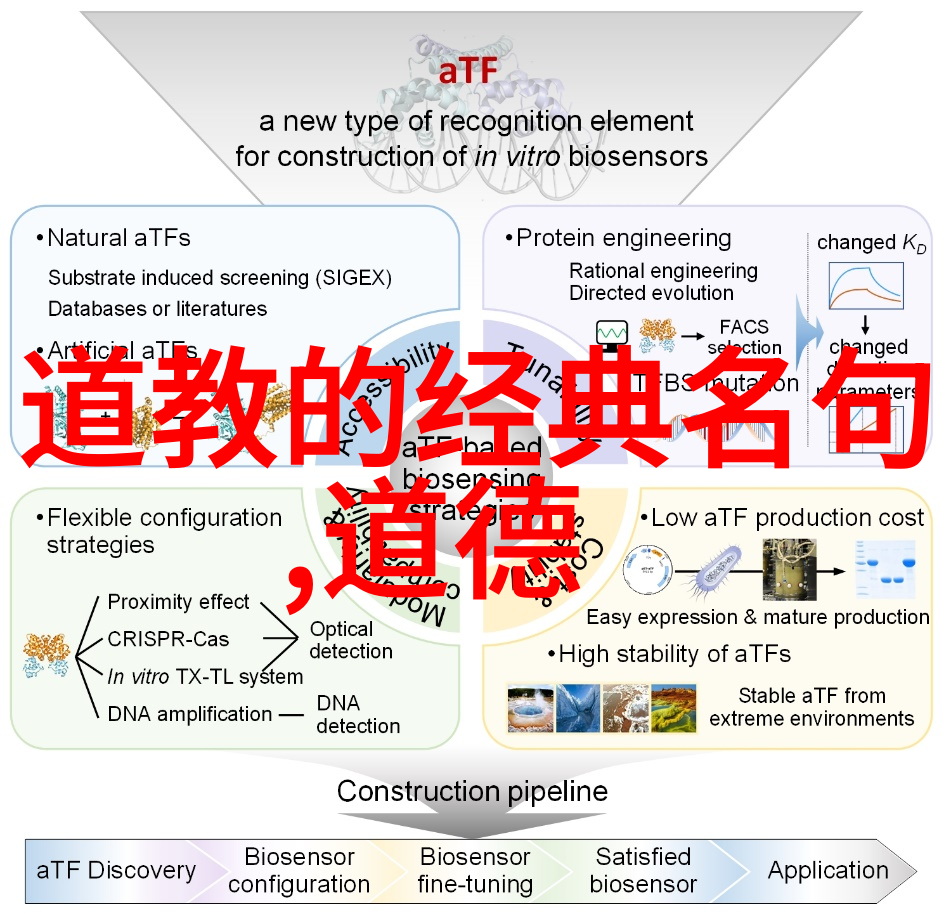 活着就是恶心作者-生存的苦果一位作家的自我反思