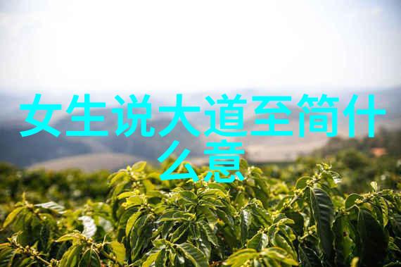 道德经中的智慧如何运用天地不仁以万物为刍狗来看待现代社会