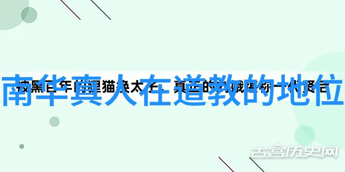 中国道教协会副会长陕西省道教协会会长胡诚林道长探索道家文化的深邃智慧