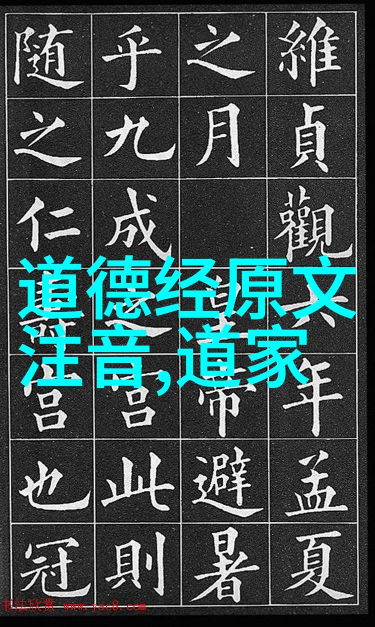 道家文化之光历代代表人物道教祖师周敦颐清净无为的王弼内丹术的李时珍