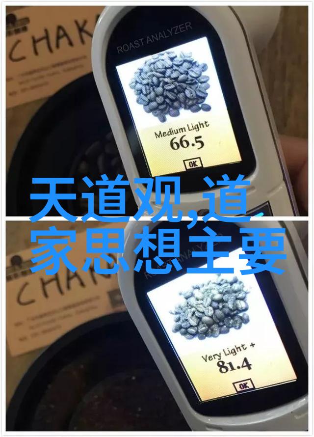 仁宗皇帝 崇道赋