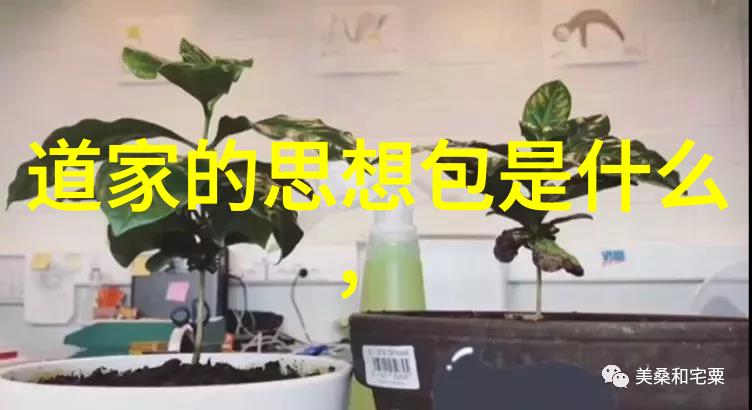 无为才能无不为我是不是就像那潭水一样平静得几乎看不出波澜但深处却藏着万千的故事