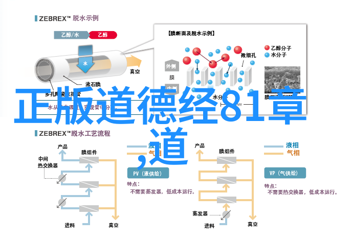 老子无为哲学中的动与静探究不为而为的本质与应用