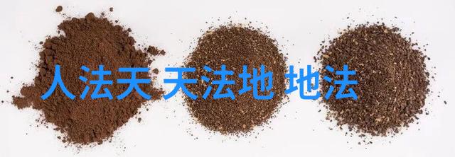 茶香里的禅思中国古典茶艺与修行情怀