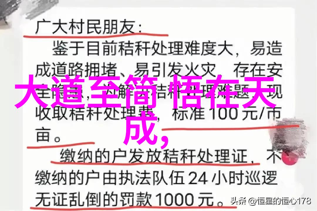 在压力和挑战中找到平衡如何通过这些经历来实现个人的成长与开悟