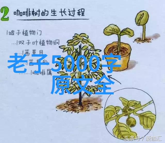 在快节奏中寻找宁静和光同尘作为心理缓冲机制