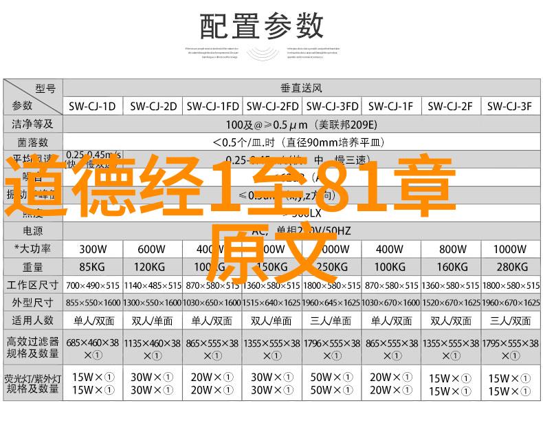 宋代道家代表人物王充甫张伯端邵雍