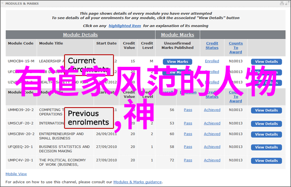 刚性的内心无欲之境的力量探究