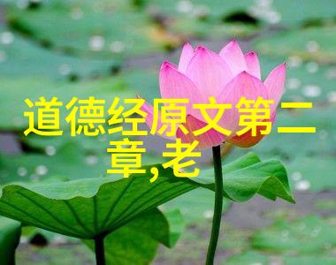 揭秘开天眼口诀一天就会神奇记忆法的解密与实践技巧