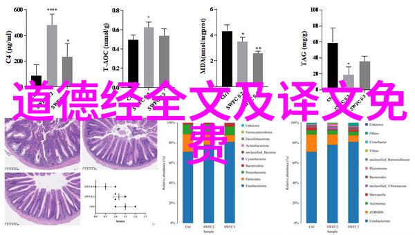 道教的隐世大师与巍峨仙境