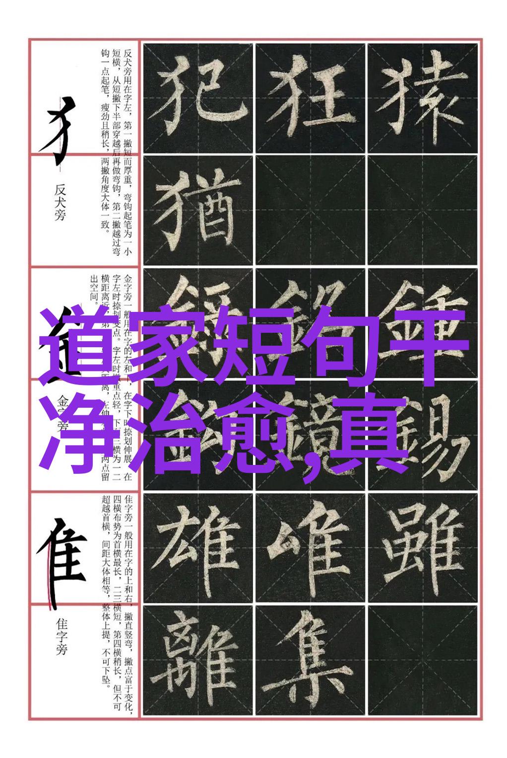 君王无情权力的冷漠