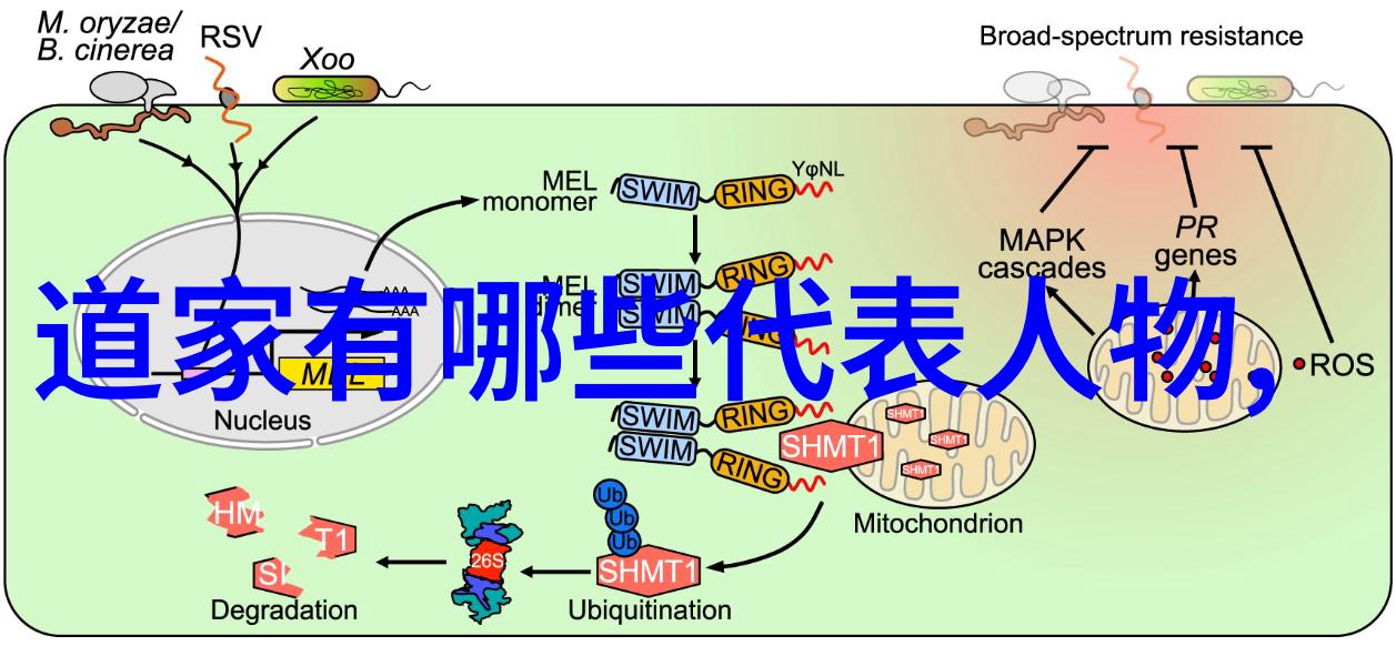 道教的三大始祖老子黄帝和尧帝