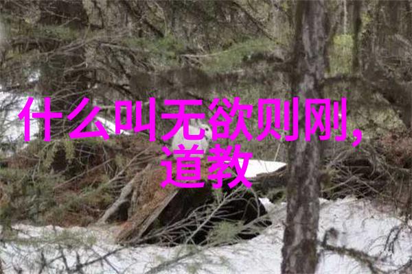 道藏秘笈揭秘古老经典之巅峰