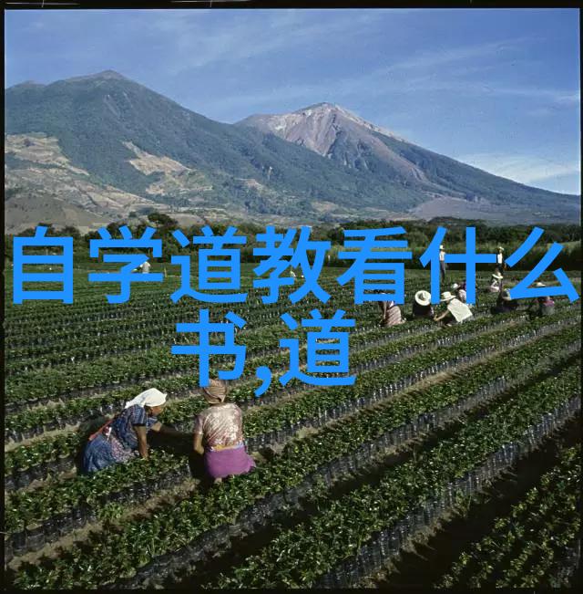 道家的起源与发展从老子的道德经到今天