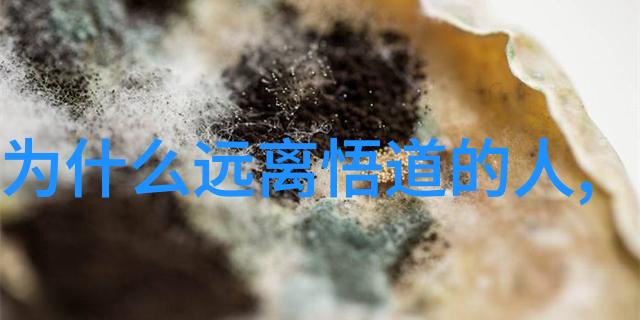 在88级坤道培训班30周年座谈会上吴诚真方丈是否能以悟在天成的智慧赋予我们新的启示