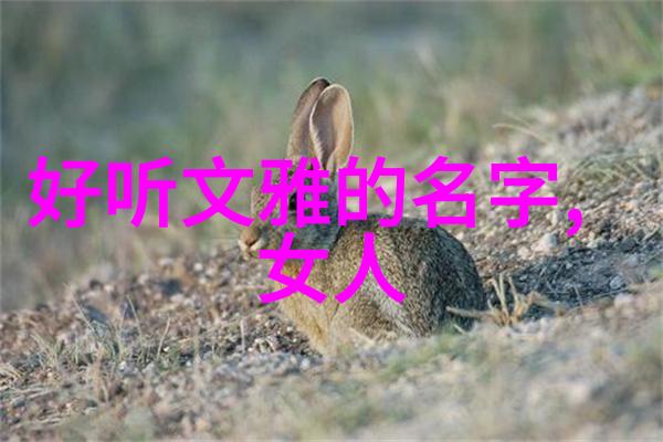 哲学探索-老子无为而无不为深度解读道家智慧