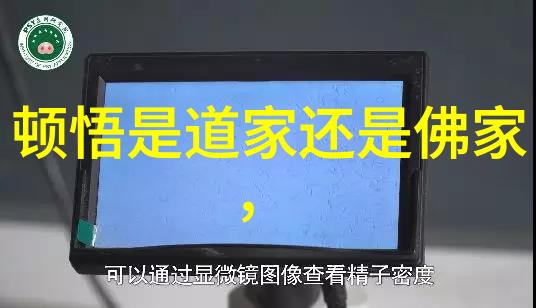 道教的三个创始人我来跟你聊聊这三位大大的故事吧