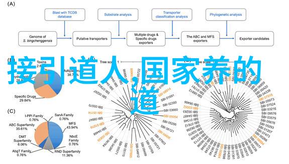 武侠秘籍-揭秘引雷诀手势通往电力大师的神秘路径