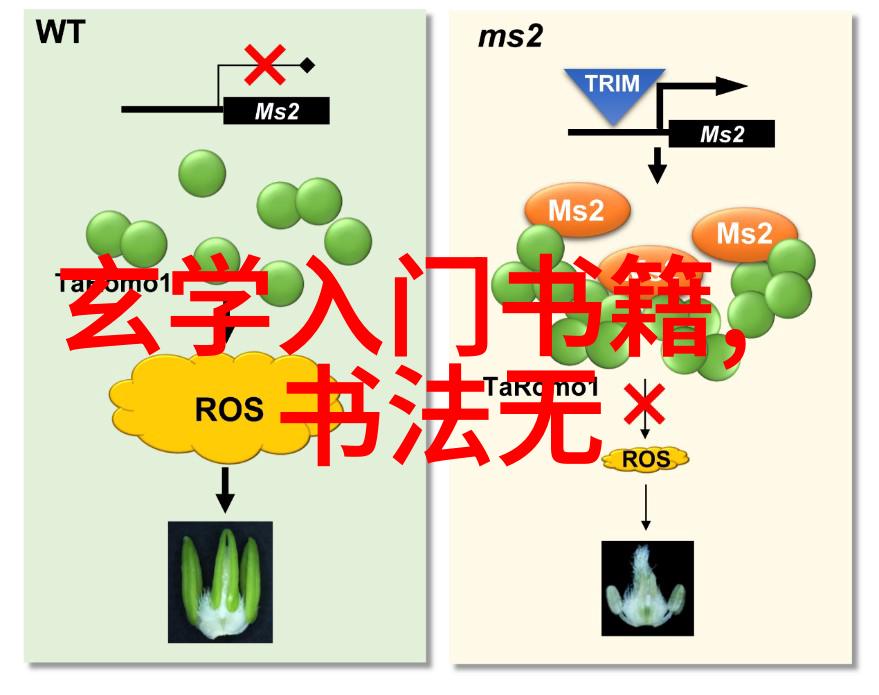 道家哲学简介及其著名代表人物探究