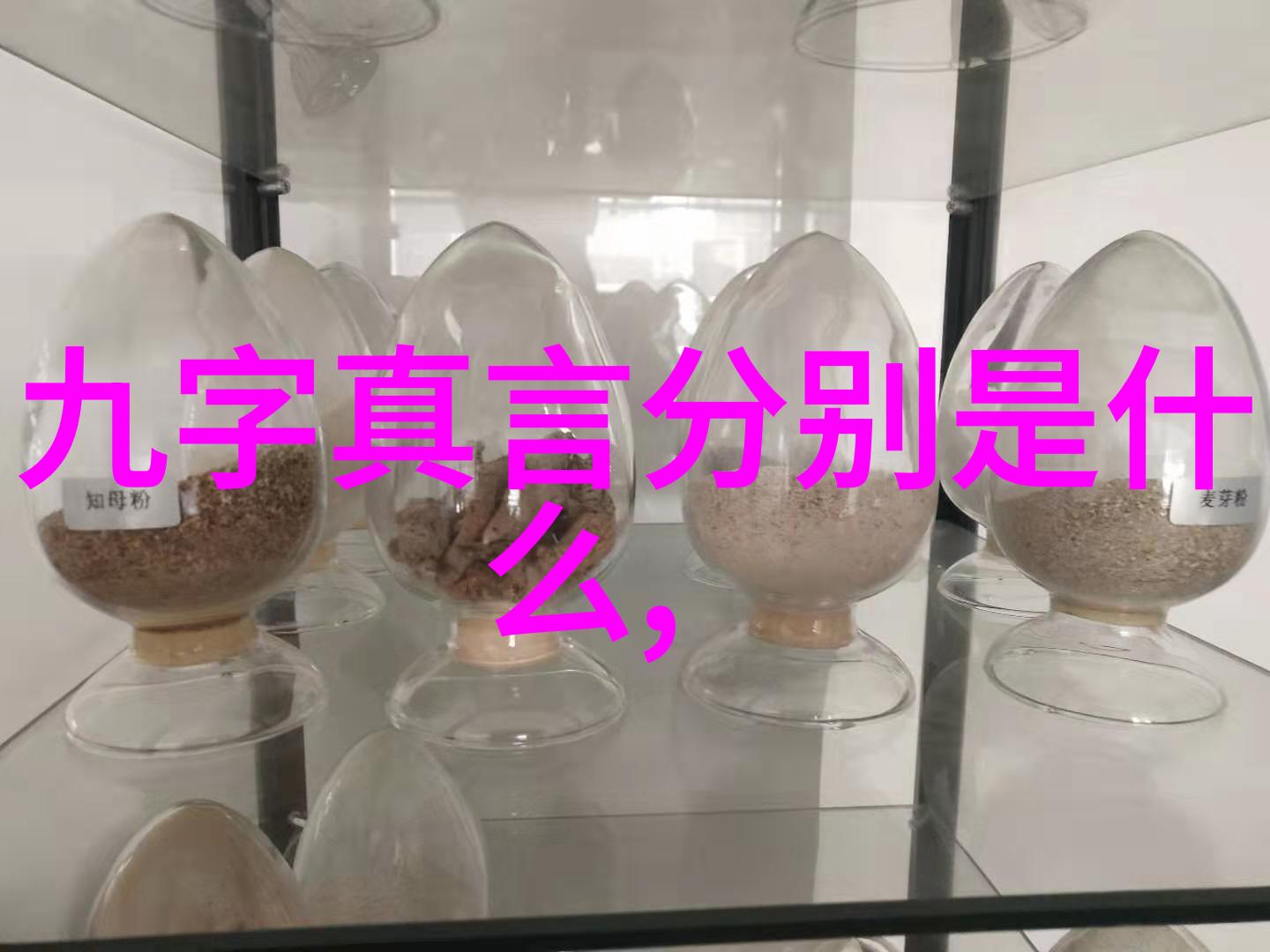 书法墨水中的诗意舞动