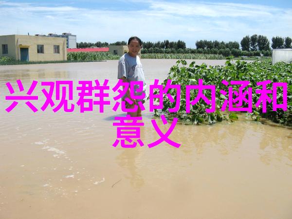 心不死道不生欲不灭道不存探索生命与哲学的永恒追求