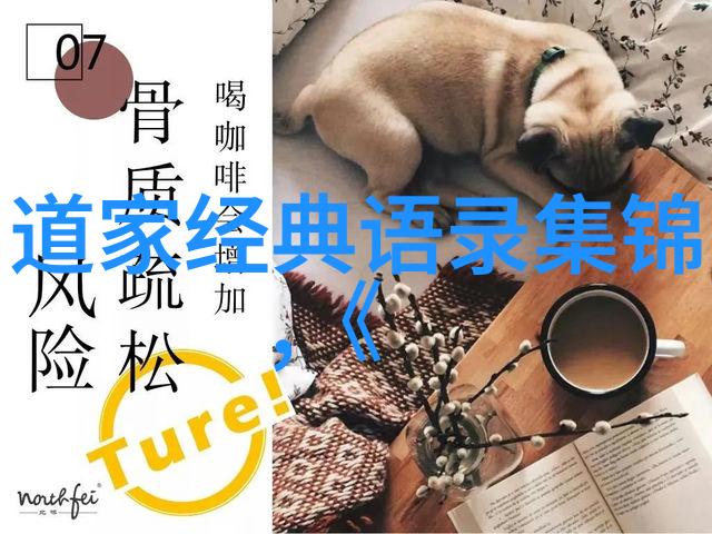 道家的祖师爷老子中国道教的创始人和核心哲学思想家