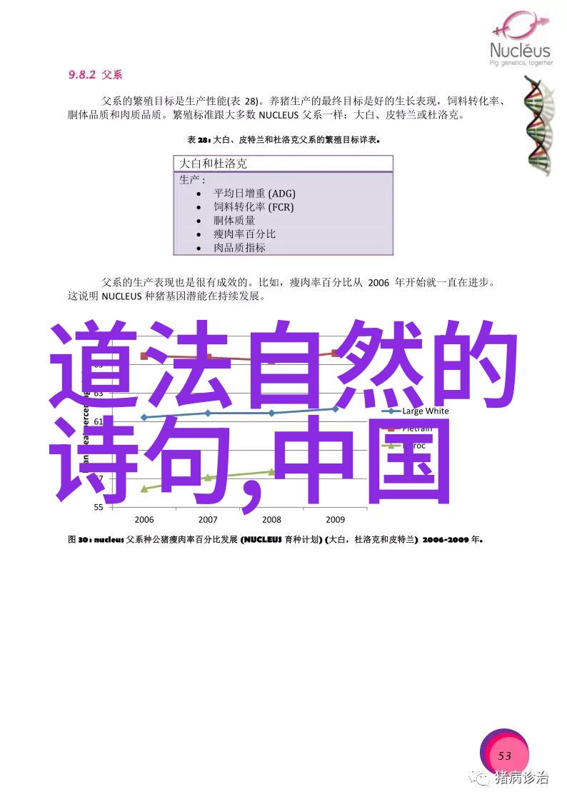 老子至圣先师篇最后一段谜团解开秘密揭露真相