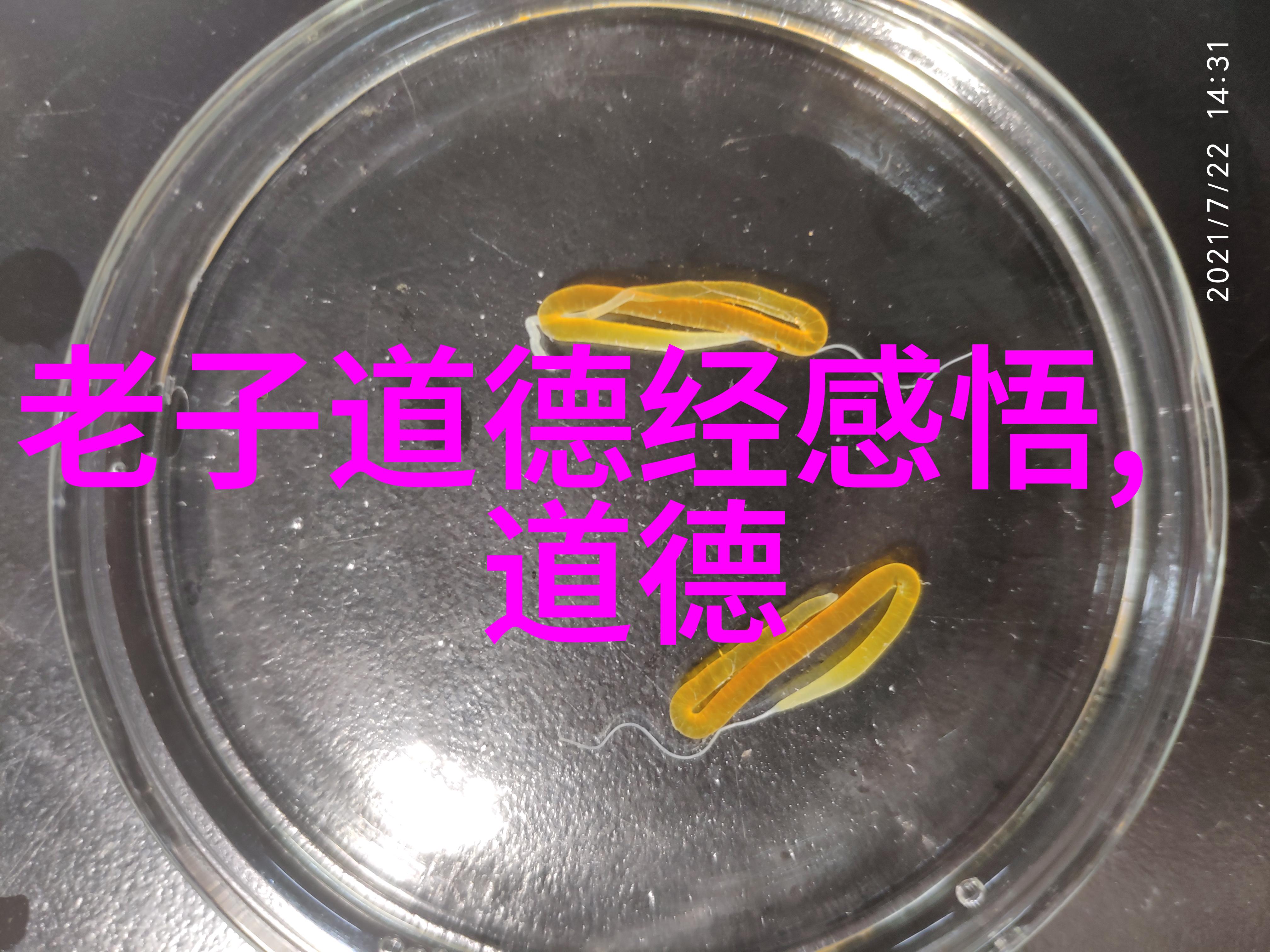 道法自然无为之智与有为之勇的和谐共生