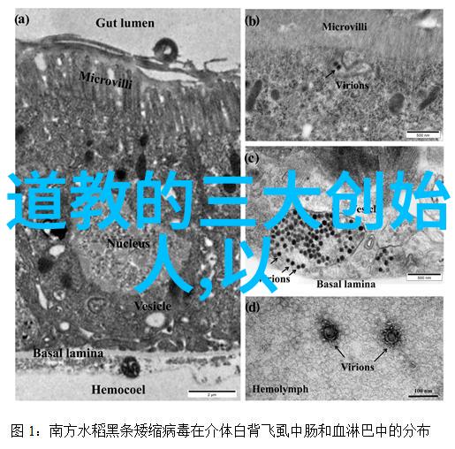 现当代道家厉害的人物中神功妙济真君旌阳祖师又称感天大帝许逊能否为我们揭示其修炼之路和内心世界