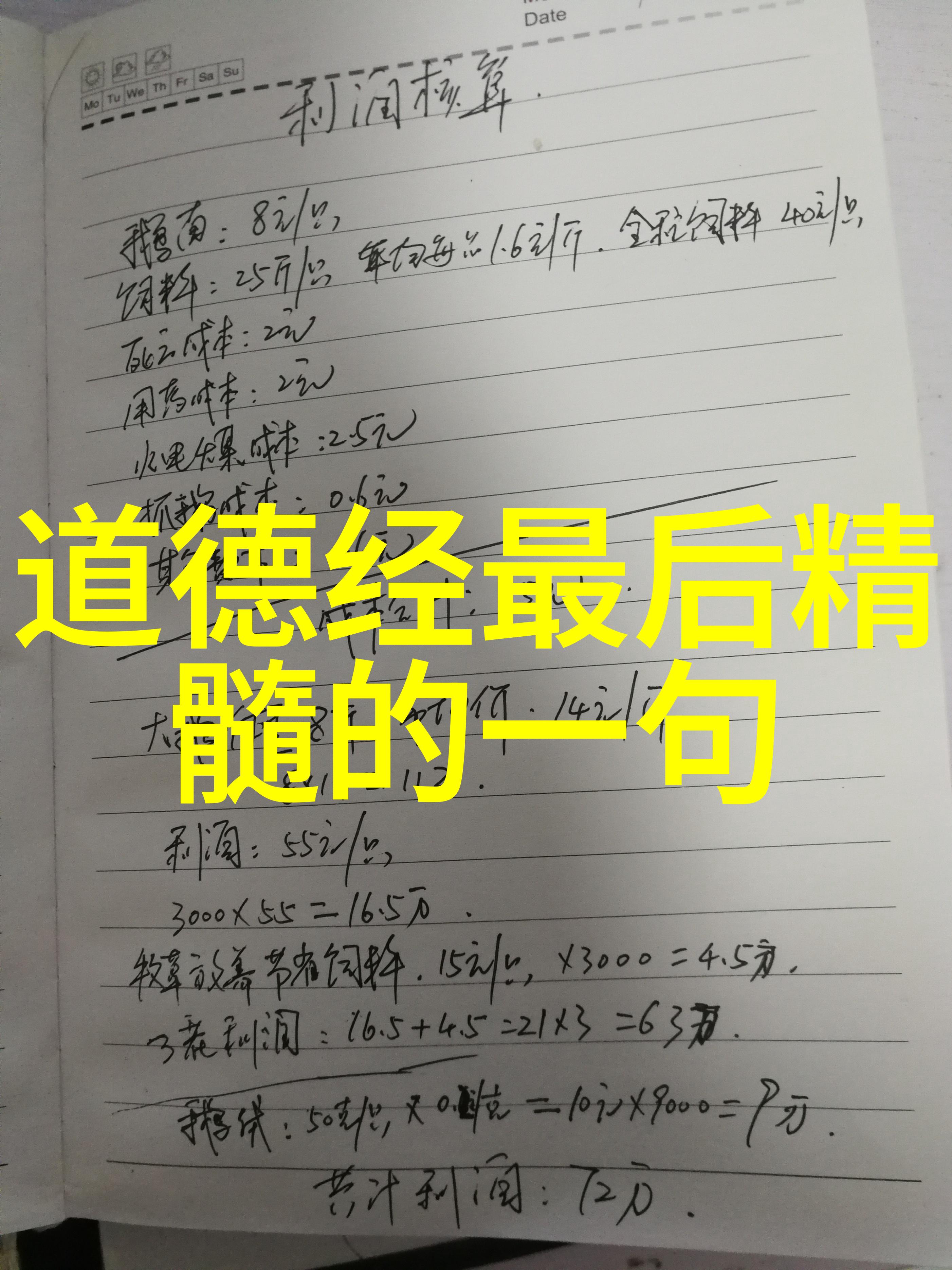 道教精神的塑造者从老子到张道陵的哲学与实践探究